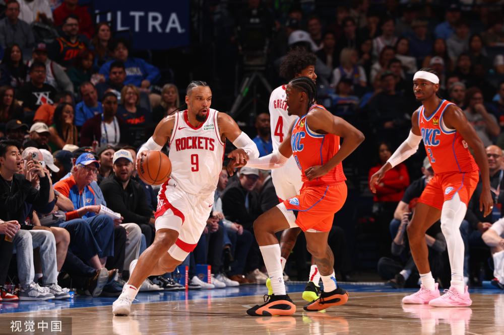 雨林的比赛 雨林的比赛